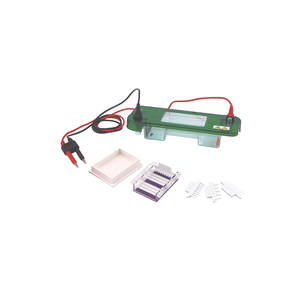 TP-spat mini mini electrophoresis system for dna/RNA analysis