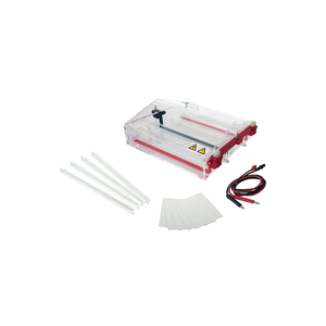 TP-SP7 Double-Bridge Aptondal Electrophoresis System مع جهاز تبريد ، قضبان قابلة للتعديل ، 1000 مل من المخزن المؤقت