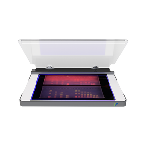 302nm LED UV Transilluminator ل DNA/RNA هلام التصوير والقطع | التصميم المدمج ، منخفضة الحرارة