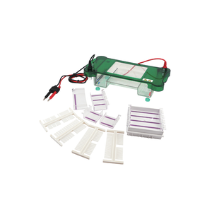 TP-SPCT نظام كهربائي هلام أفقي-خزان متعدد العينة مع غطاء أمان ومخزن مؤقت مستقر