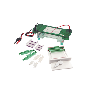 TP-SPFT نظام كهربائي هلام أفقي TP-SPFT مع صينية الفلورسنت المرئية للأشعة فوق البنفسجية ، 300 بئر ، حجم عازلة 600 مل