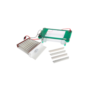 TP-SPHT سعة كبيرة نظام كهربائي هلام أفقي لفصل الحمض النووي والبروتين