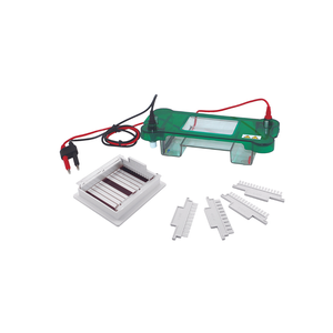 TP-SPBT نظام كهربائي هلام أفقي-هلام 78 × 100 مم ، 10-15 سعة عينة ، غطاء شفاف آمن